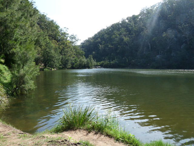 Gulguer where Garagadge the eel was chased by Murragan the Quoll Cat